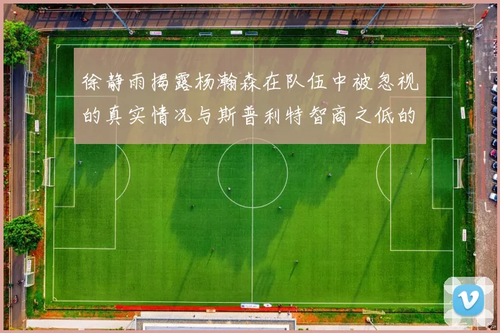 徐静雨揭露杨瀚森在队伍中被忽视的真实情况与斯普利特智商之低的尴尬真相